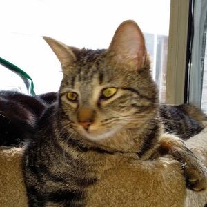 Meet your Posher, Jackye